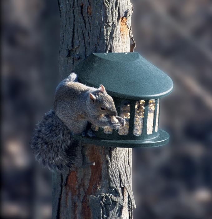 Woodlink Squirrel Diner Feeder Model 75590