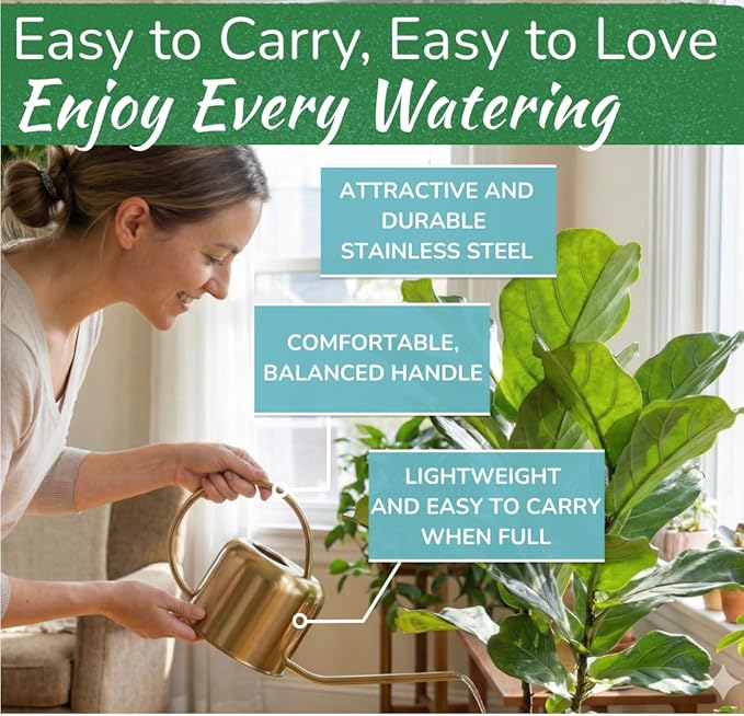 Stainless Steel Watering Can for Houseplants by Houseplant Resource Center | 1L Capacity for Indoor/Outdoor Plants in Brushed Gold