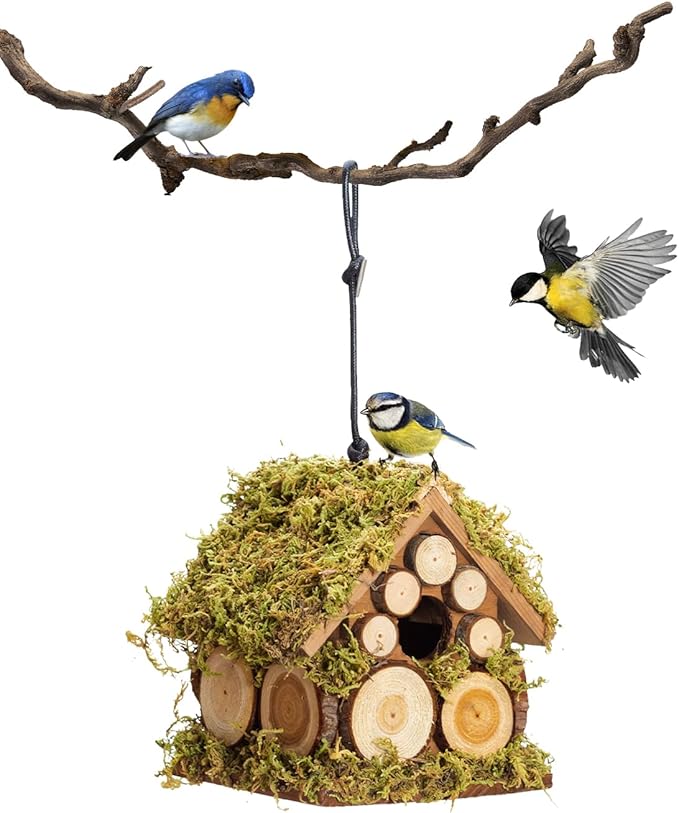 Spring Wren Bird House for Outside - Hard Wood Bird HouseNest Box for Outdoor - Moss Bird House with Cedar Rings- Gifts for Nature Lovers - Pole Mountable Bird House - 1.125" Entrance