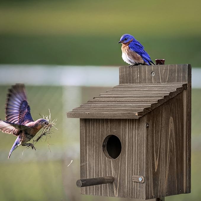 Bird House for Outside with Predator Guard, Nesting Box Birdhouse for Outdoor Wild Bird Watching, Royal Blue
