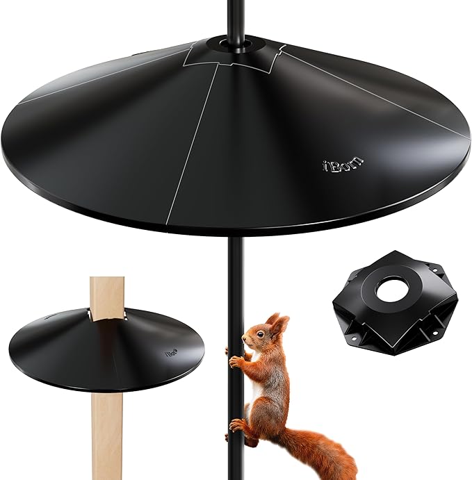 iBorn Squirrel Baffle for Bird Feeder Pole, Baffle for 4x4 Post, 22inch Oversized Squirrel Defender Stopper, Polycarbonate(PC), Dual Compatible Post/Pole Mount Guards, Pack of 1, Black