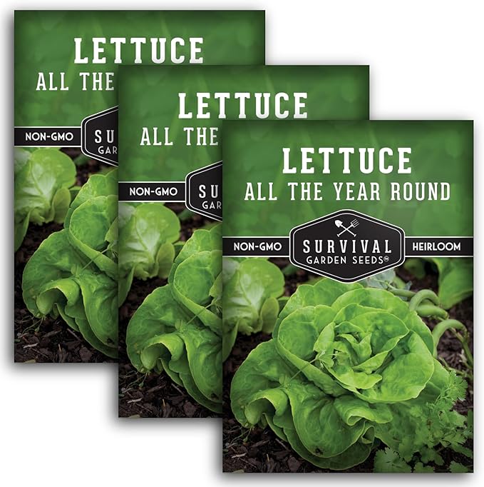 All The Year Round Lettuce Seeds for Planting – Slow-Bolting Butterhead Variety for Cool and Moderate Climates – Reliable Year-Round Harvest – Heirloom Non-GMO – Survival Garden Seeds (3 Packs)