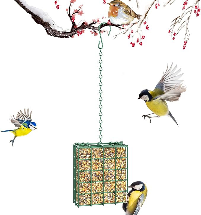 Bird Feeder for Outdoors, Suet Feeder Hanging Bird Feeder, Hanging for Garden Yard Outside - Single Suet Cake Feeders fo Attracting Birds