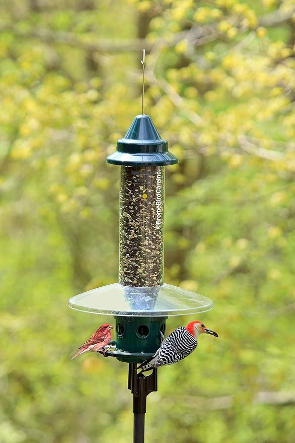 Pole Adaptor for Pole Mounting a Squirrel Buster Plus Bird Feeder, Black (FEEDER & POLE NOT INCLUDED), for 1-inch Pole ONLY