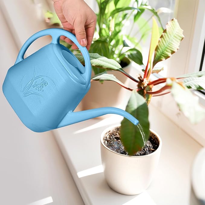 Plastic Watering Can - for Indoor and Outdoor Plant - 1/2 Gallon - SkyBlue