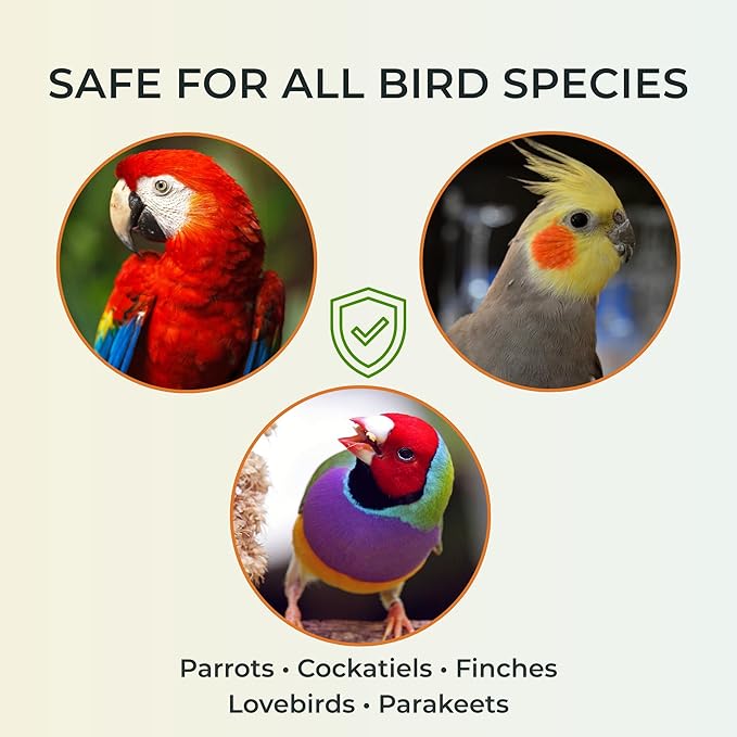 Eucalyptus and Thyme Extract Bird Bath Spray I Special Herbal Formula for Vibrant and Healthy Feathers I Suitable for All Birds - 8 Fl Oz.