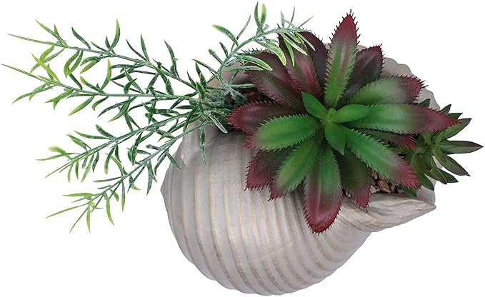 Faux Succulents in Conch Sea Shell Home Decor,Coastal Beach Decorations for Home Bathroom Ocean Seashell Decor Series for Home Beach Decor Theme Party Favors (Without Drainage Hole)