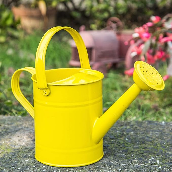 Topadorn Watering Can for Plants, 55 Oz Metal Watering Can with Removable Spout for Indoor & Outdoor Plants, Long Spout Garden Watering Can, Yellow