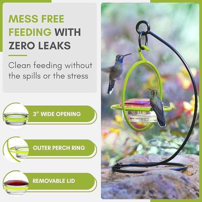 Hummingbird Feeder for Outdoors Hanging, 3.4 OZ Hummingbird Feeders, Glass Bowl with 4 Feeding Ports, Leak Proof Lid & Circular Perch, Bird Feeder (3, Lime)