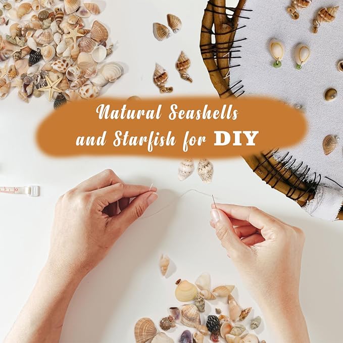 1200 PCS Natural Seashells, Joyfulmap Tiny sea Shells & Small Starfish for Decorations, Mixed Ocean Beach Spiral Shells for Crafting, Fish Tank, Beach Theme Party, Wedding Decor, DIY Craft Supplies