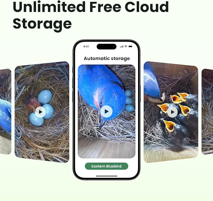 Birdfy Smart Bird House with Camera Solar Powered, 1080HD Live Video & Night Vision for 24/7 Nesting Recording, Auto Detect & Notify, Ideal Nature Gift for Bird Lovers, AI Identify Lifetime Free