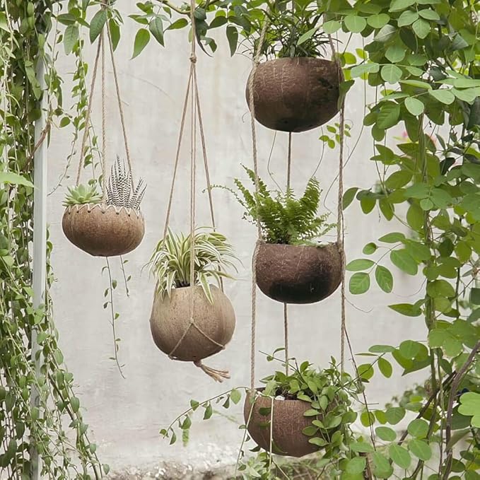 Rainforest Bowls 3-Tier Hanging Coconut Planter w/ Drainage Hole- Perfect for Succulents, Flowers, Small Plants, Indoor & Outdoor Gardens- Hand Carved by Artisans, Eco-Friendly & Sustainable