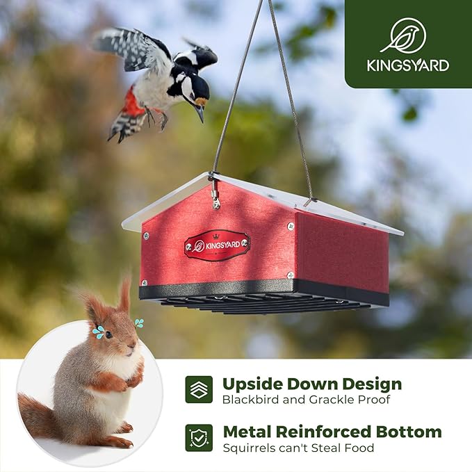 Kingsyard Upgraded Upside Down Double Suet Feeder for Outside Hanging, Squirrel-Proof Metal Edging, Wild Bird Feeder with Metal Weatherproof Roof, Attracting Woodpeckers, Nuthatches, Titmouse