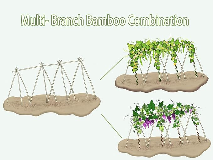 Plant Bamboo Post,4Feet,Bamboo Garden Stakes,65PcsBamboo Stakes,for Tomato,Beans,Vegetable and Flowers, Potted Plants,Indoor and Outdoor Climbing Plants