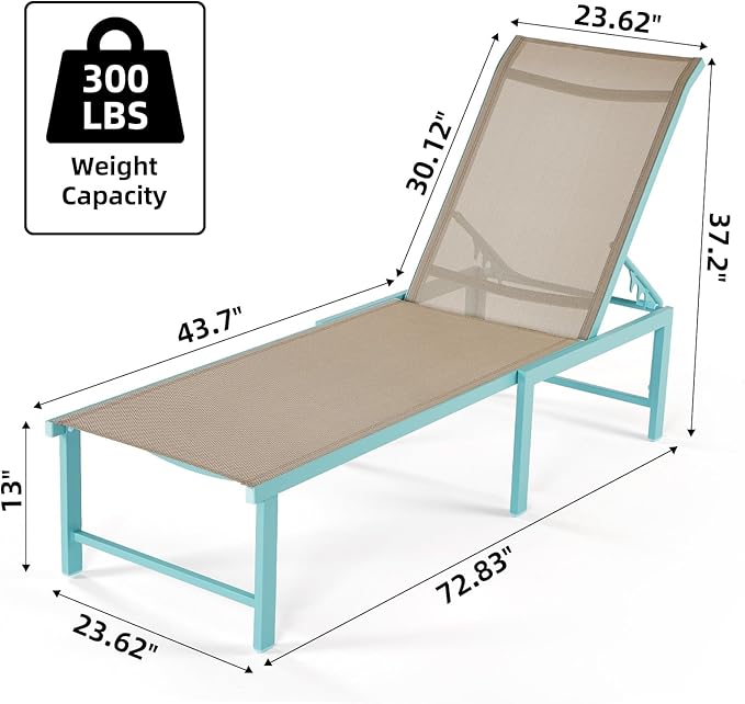 Outdoor Pool Lounge Chairs Set 2 pcs, Aluminum Outdoor Lounge Chair, Five-Position Recliner Loungers for Poolside Yard Balcony Deck Beach (Blue)