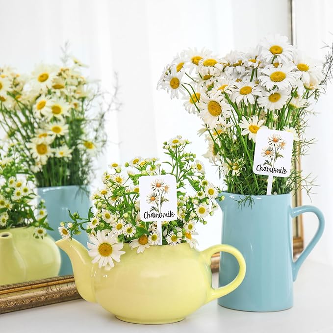 20Pcs Acrylic Plant Label Signs 20 Styles Garden Herb Markers Plant Stake Tags White Waterproof Tags with Herb Names for Nursery Indoor Outdoor Garden Decor
