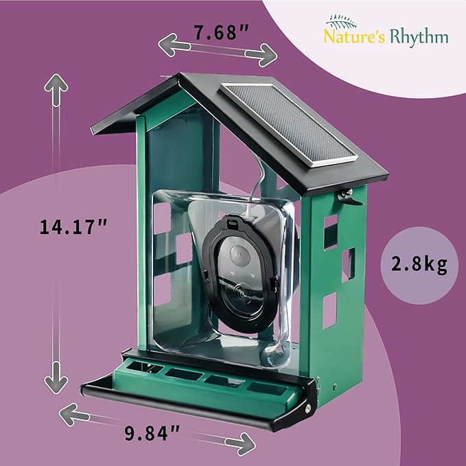 Bird Feeder Squirrel-Proof Bird Feeder with Camera Watch The Birds Feed
