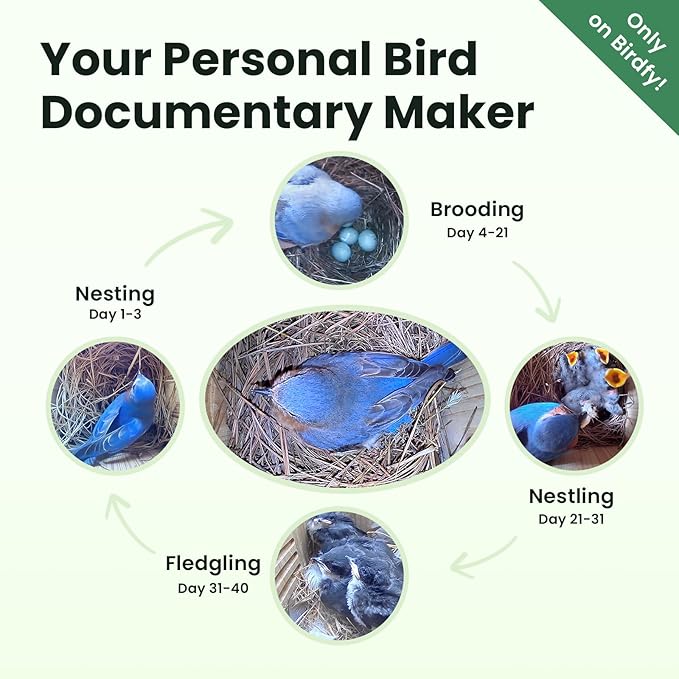 Birdfy Bird House with Camera Inside with Iron Guard, AI Identify & Nest Story, 1080P HD & Night Vision for Bluebird Finch Swallow Wren Chickadee Nesting Watching, Auto Detect & Notify