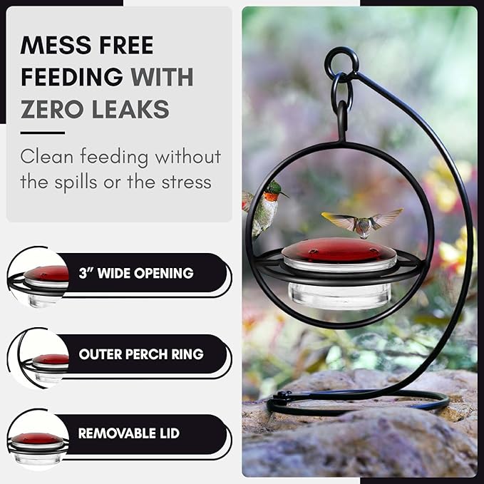 Hummingbird Feeder for Outdoors Hanging, 3.4 OZ Hummingbird Feeders, Glass Bowl with 4 Feeding Ports, Leak Proof Lid & Circular Perch, Bird Feeder (3, Black)