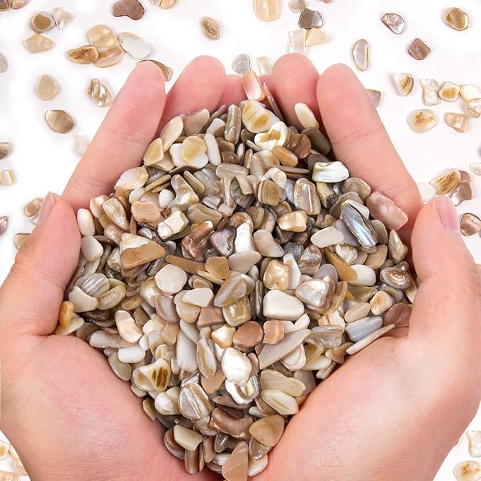 QICQDRAM Crushed Shells for Crafts About 1LB (405g/14.28oz) Small Natural Crushed Shells Bulk for Crafts DIY Beaching Wedding Decoration Vase Fillers (Natural Color)