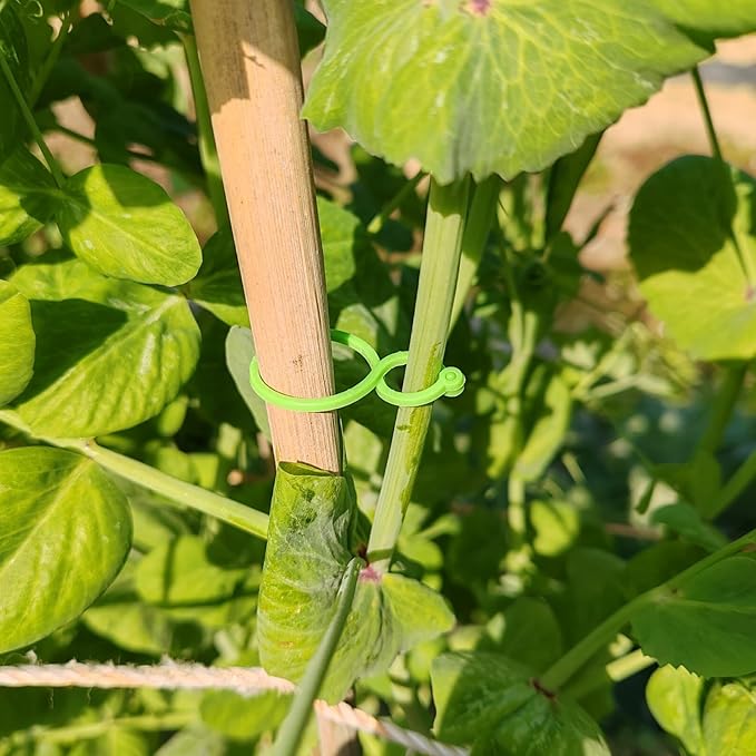 RONYOUNG 500PCS Plant Twist Clip Ties Garden Plant Support Clips Vegetables Tomato Vine Flower Clips Plant Locks for Securing Plants