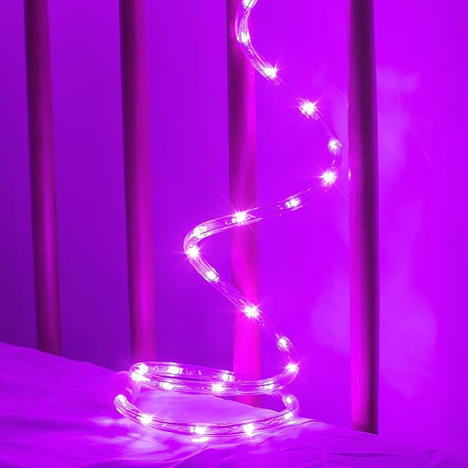 Waterproof LED Rope Lights, Connectable & Flexible with 8 Modes, Outdoor Lighting for Deck, Garden, Pool, Patio & Christmas Decor (Purple, 100ft)