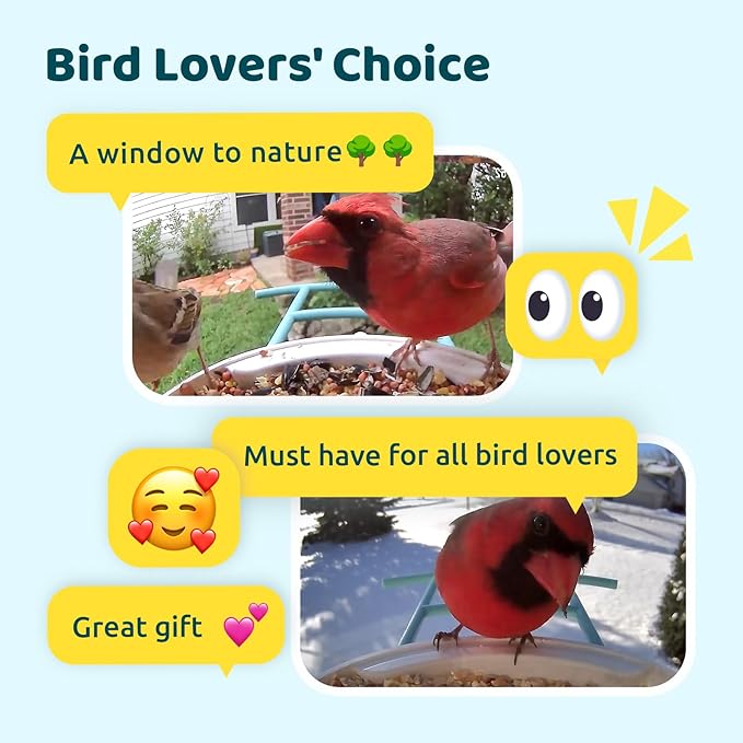 NETVUE by Birdfy AI Smart Bird Feeder with Camera, AI Auto Capture Each Bird Visit & Identify 6000+ Species, Cloud Store & Live Birdwatching, Ideal Gift (Yellow)