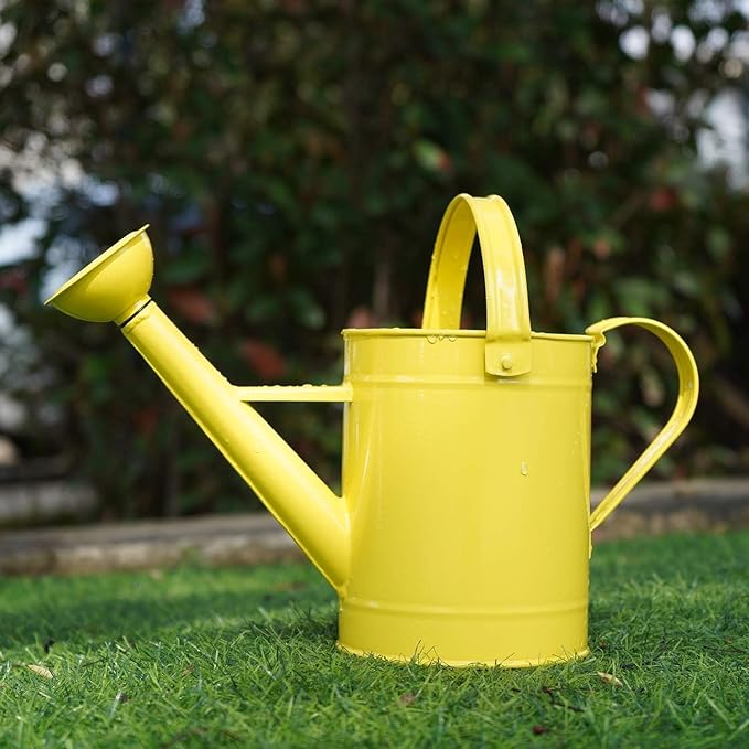 Topadorn Watering Can for Plants, 55 Oz Metal Watering Can with Removable Spout for Indoor & Outdoor Plants, Long Spout Garden Watering Can, Yellow