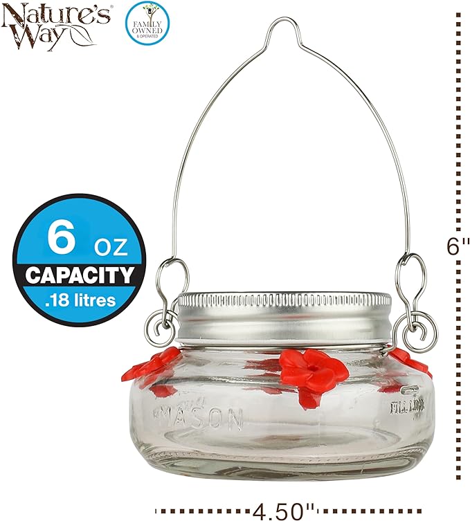 Nature's Way Bird Products MJF1 Nature's Way Mason Jar Hummingbird Dish Feeder, Clear