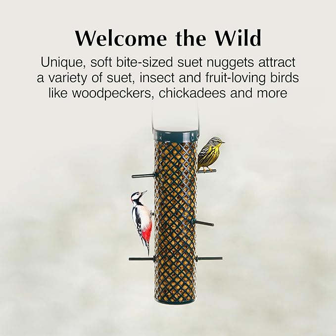 C&S Sunflower Suet Nuggets, Wild Bird Food for Woodpeckers, Chickadees, Nuthatches, and More., 27 Ounces