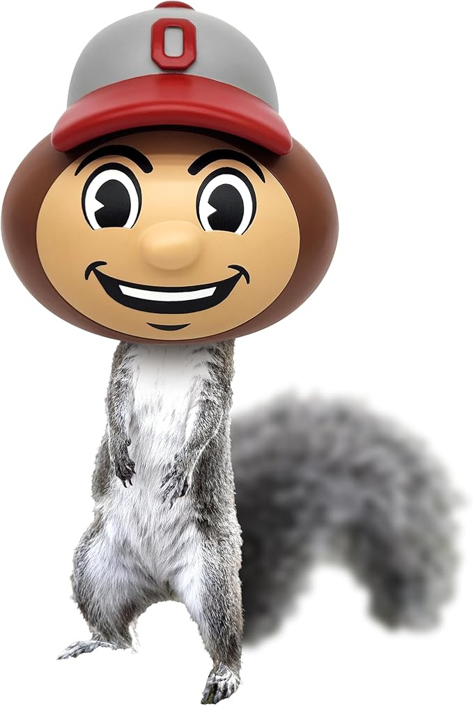 Brutus Buckeye Squirrel Feeder by Nutt Heads Ohio – Officially Licensed Ohio State University Product | OSU Outdoor Yard Decor for Fans & Garden Gift Idea
