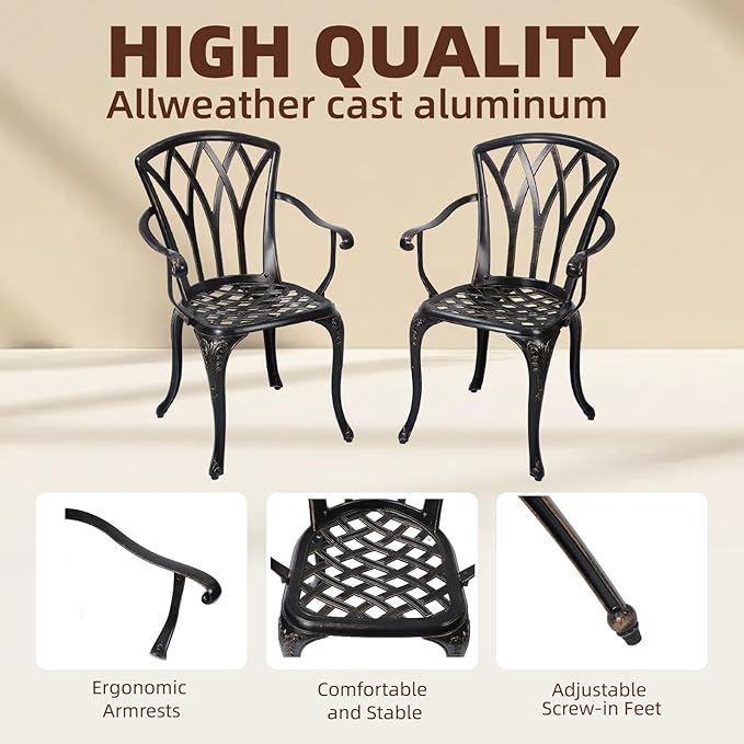 Patio Chairs Set of 2, Cast Aluminum Outdoor Dining Chair for Garden, Backyard, Balcony (Bronze)