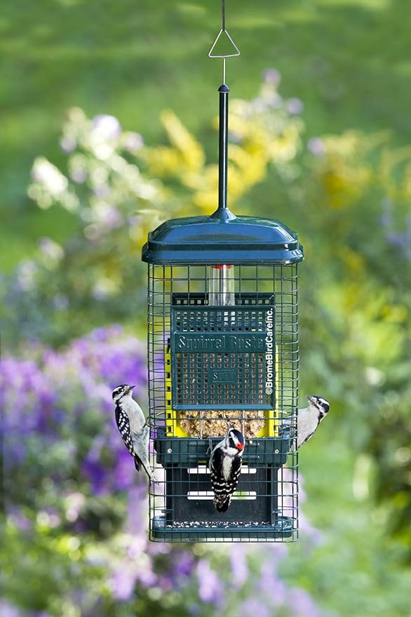 Squirrel Buster Suet Squirrel-Proof Suet Bird Feeder with Two Suet Cake Trays, Two Crumb Ports, Mess-Free Suet Loading, Durable Green Design for Clinging Birds