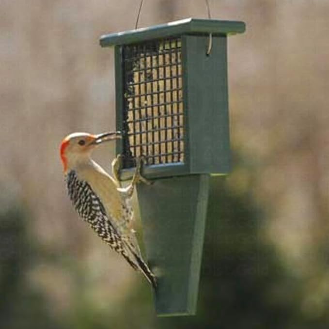 Songbird Essentials Tail Prop Suet Feeder - Recycled Plastic Bird Feeder with Coated Wire Cage for Bird Seed Cakes - Hunter Green