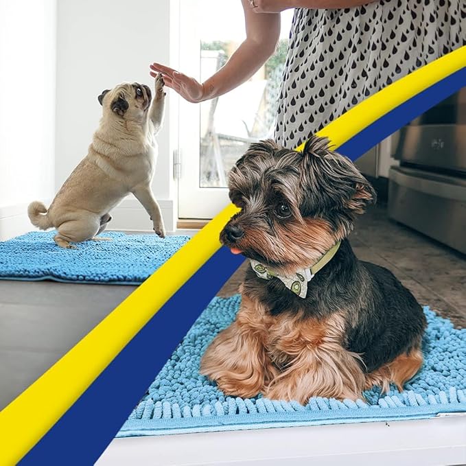 Muddy Mat® | Super Absorbent Door Mat Indoor, Microfiber Quick Dry Chenille Entryway Rug, Non-Slip Front Door Mat, Indoor Mats for Entryway, Machine Washable Pet Rug, Sky Blue 16"x24"