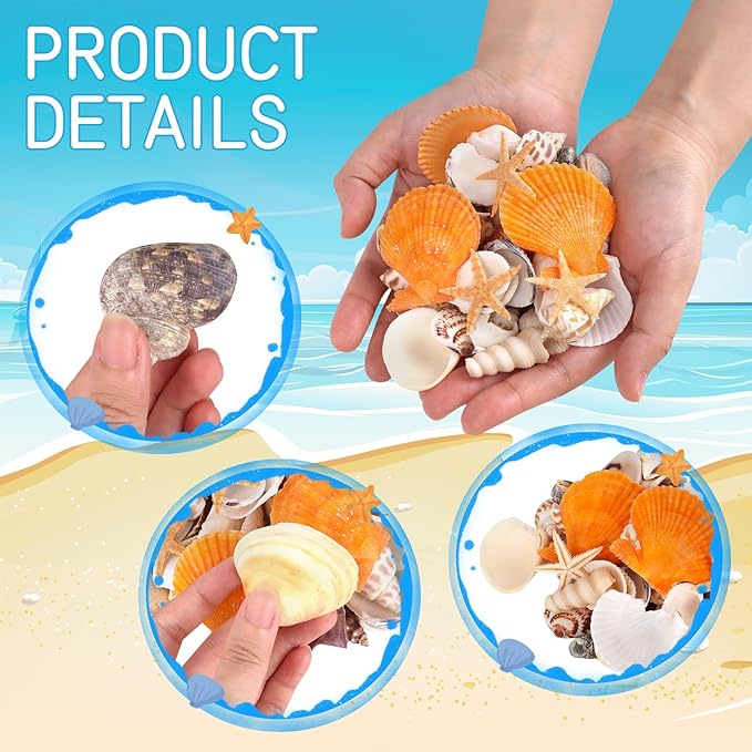 Mixed Sea Shells, 150+ Pcs Beach Seashells Starfish, Various Sizes Ocean Seashells for Fish Tank Vase Fillers, Beach Theme Party Wedding Decor, Candle Making, DIY Crafts