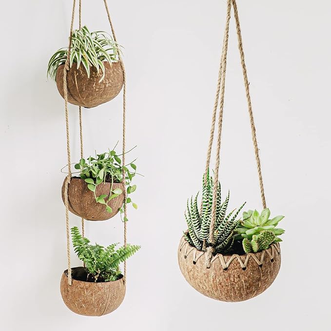 Rainforest Bowls 3-Tier Hanging Coconut Planter w/ Drainage Hole- Perfect for Succulents, Flowers, Small Plants, Indoor & Outdoor Gardens- Hand Carved by Artisans, Eco-Friendly & Sustainable
