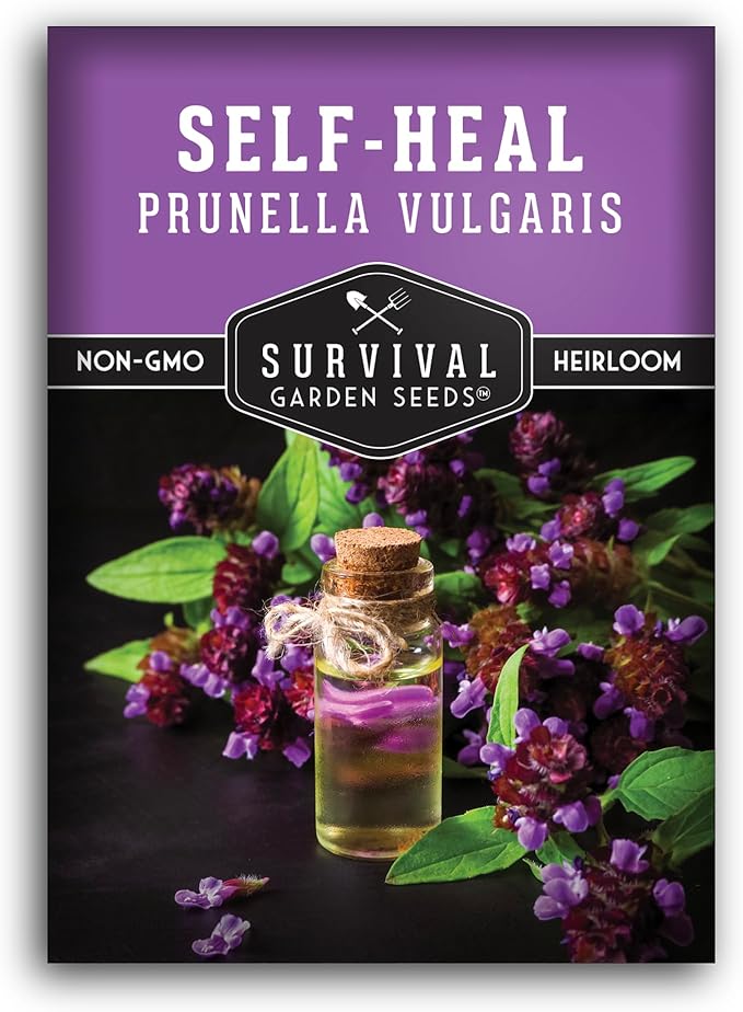 Self-Heal Seeds for Planting - Prunella Vulgaris (All-Heal, Selfheal) Hardy Perennial Ground Cover & Pollinator Wildflower, Non-GMO Heirloom Herb - Survival Garden Seeds (1 Pack)