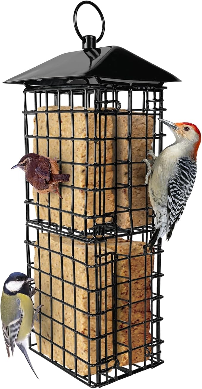 Wild Wings Metal Suet Cage Feeder for Outdoor Décor Wild Bird Feeders, 4 Suet Cakes Capacity, Hanging Suet Feeder, Black