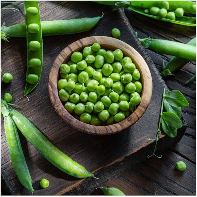 Everwilde Farms - 1/4 Lb Lincoln Shell Pea Seeds - Gold Vault