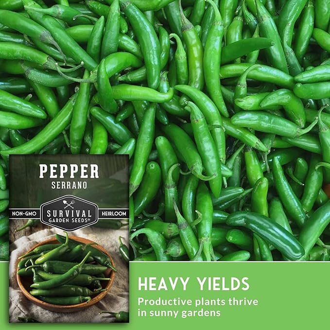 Mexican Serrano Pepper Seeds for Planting | Fresh Hot Chili & Green Hot Pepper Seeds – Heirloom Non‑GMO Variety for Sauce, Pickling & Salsa – Survival Garden Seeds (1 Pack)