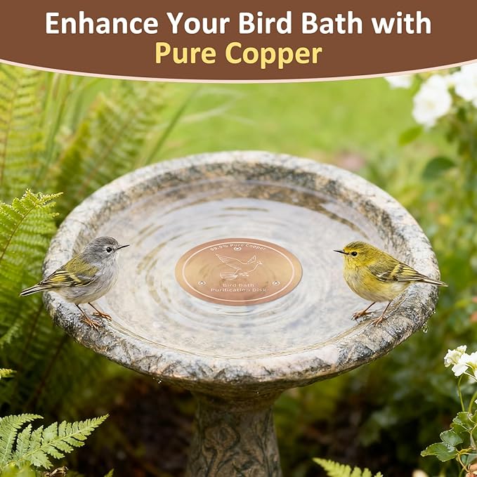 Bird Bath Copper Discs - 99.9% Pure Copper Cleaner, 1 mm Thick with Triple-Point Support, Reinforced Design for Safe Clean Water, Universal Fit for Outdoor Birdbaths and Bowls, All-Season Use