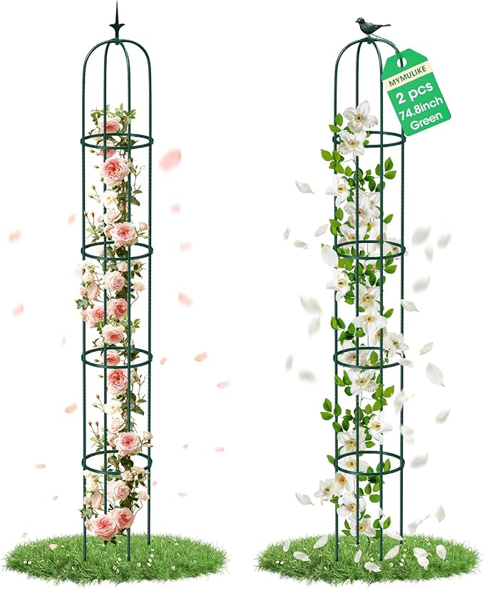 Garden Trellis for Climbing Plants, Rustproof Metal Pipe with Heavy Duty Plastic Coated, Garden Outdoor Indoor Potted Plant Support, Obelisk Garden Trellis for Climbing Vine