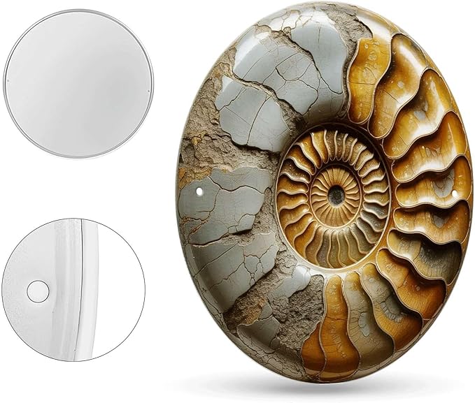 Nautilus Shell tin sign, Vintage Ammonite Fossil metal sign Print Aesthetic Room Decoration for Home Bedroom Bar Cafe Garden and Outdoor Round Wall Decor (8 inch)