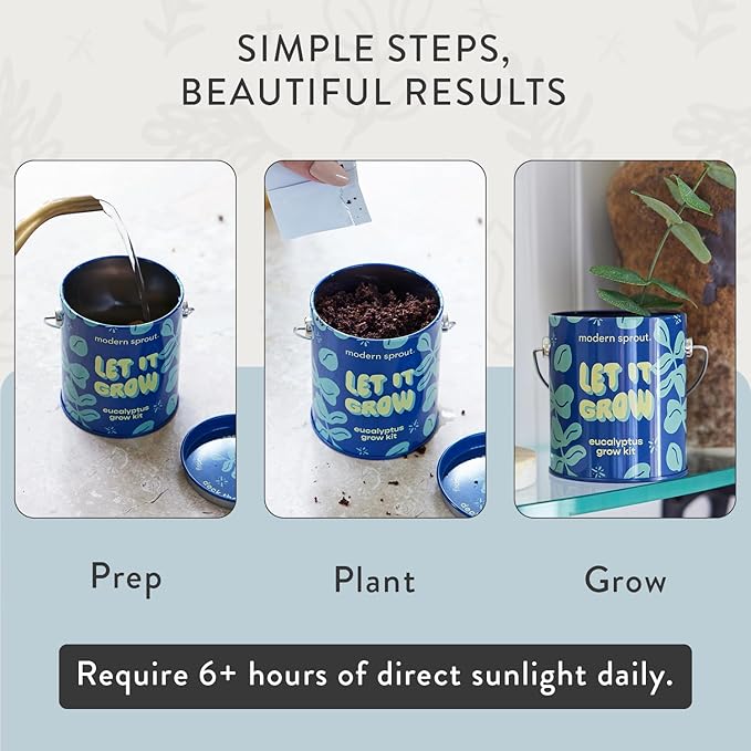 Modern Sprout Complimentary Seed Starter Grow Kits - Spruce, Eucalyptus, & Agave Seeds - Plant & Gardening Gifts that Grows with Love (Pack of 3)