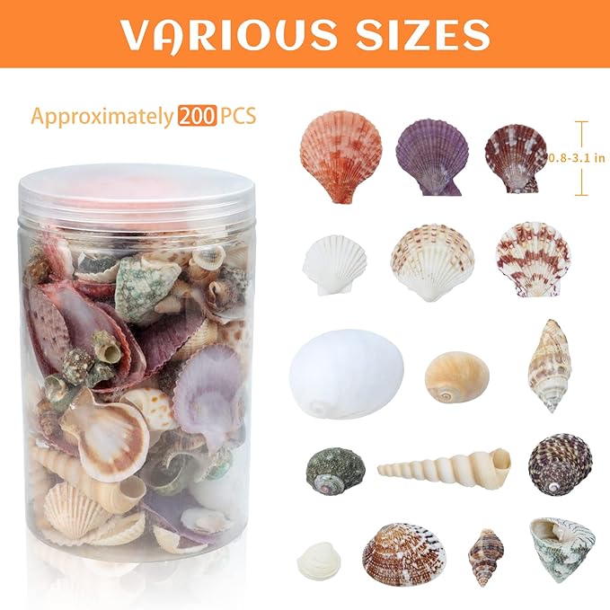 200 Pcs Sea Shells Bulk Mixed Ocean Beach Seashells for Kids, Various Sizes Natural Sea Shell for Crafts, Home Decorations, Beach Theme Party, Wedding Decor, DIY Crafts, Crafting Shells