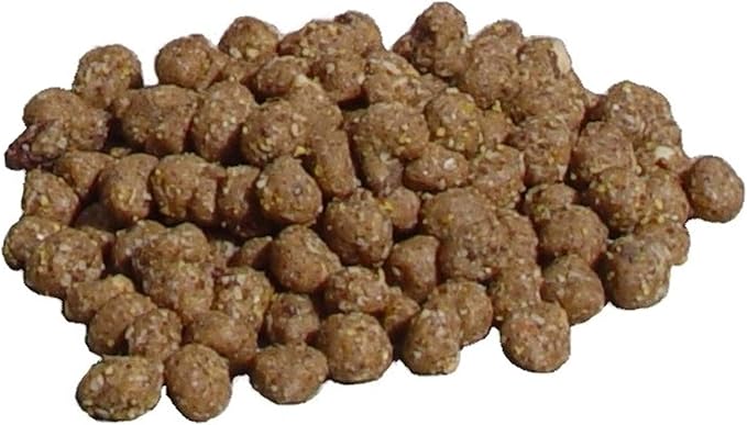 C&S Wild Bird Woodpecker Suet Nuggets Mega Box,8 Pounds,(Pack of 2)