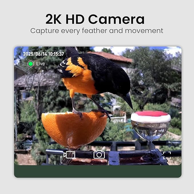 Smart Bird Feeder with Camera Solar Powered 2K HD Video, 10,000+ Species AI Recognition, Real-Time App Alerts, and Weatherproof Design for Effortless Birdwatching, Gift for Bird Lovers, Orange
