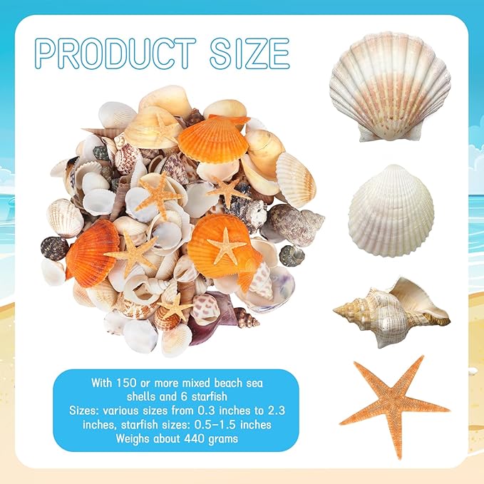 Mixed Sea Shells, 150+ Pcs Beach Seashells Starfish, Various Sizes Ocean Seashells for Fish Tank Vase Fillers, Beach Theme Party Wedding Decor, Candle Making, DIY Crafts