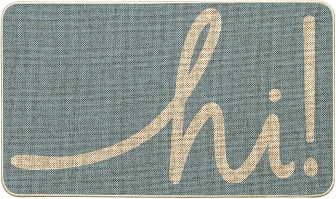 Artoid Mode Sky Blue Hi Doormat, Home Spring Summer Decor Switch Rug Welcome Door Mat Floor Mat 17x29 Inch